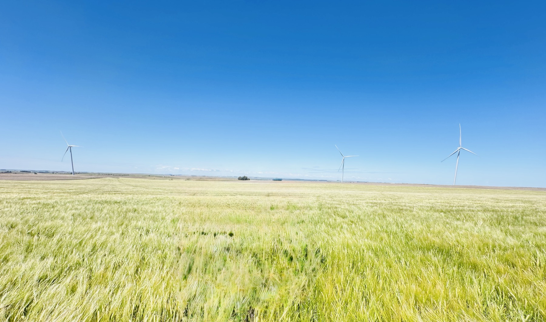 Our story and sustainability